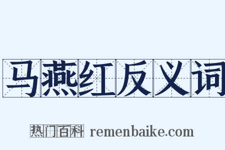 马燕红反义词是什么意思的图片